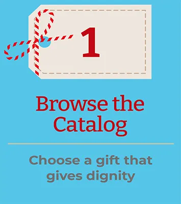 Browse the Catalog